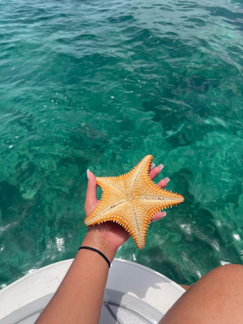 A person holding an orange starfish in front of the ocean.